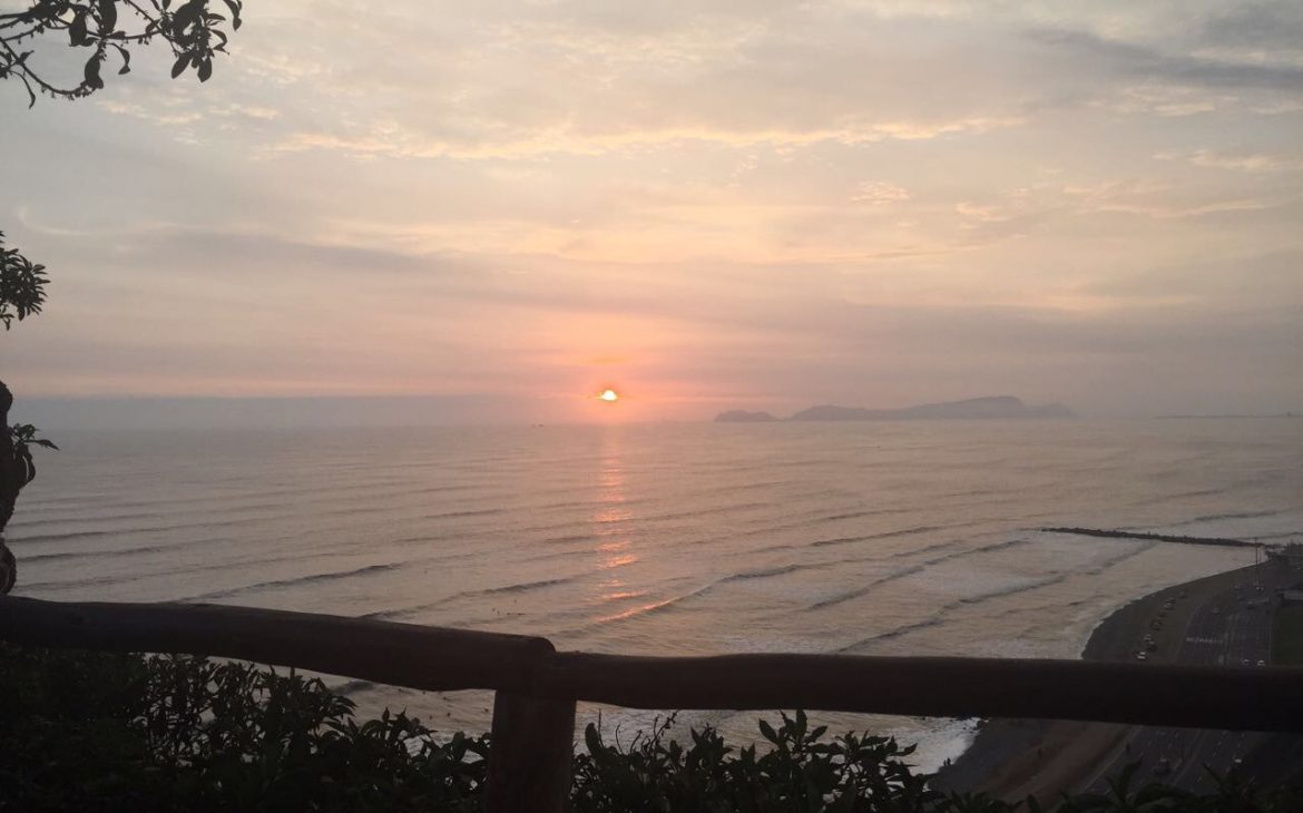 Relato de terror: Pulgas