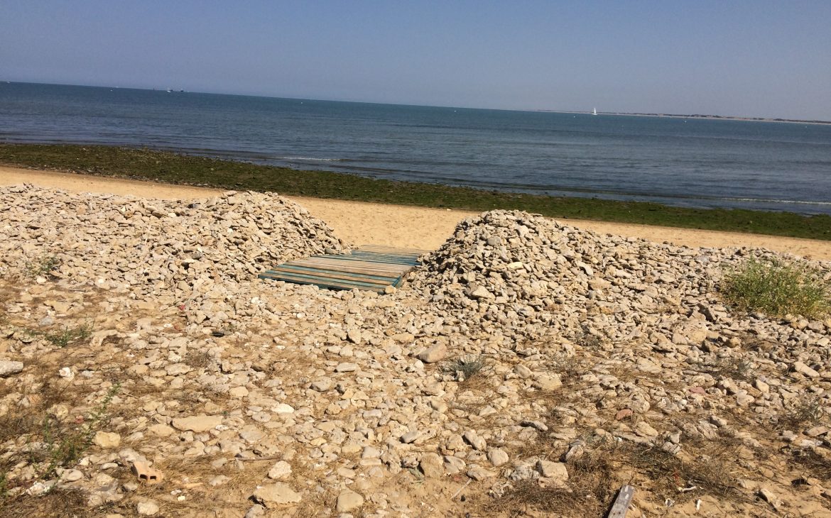 Relato: Implante cerebral