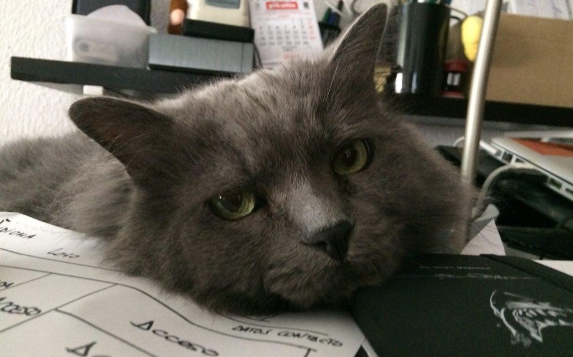 Relato: Dulces sueños