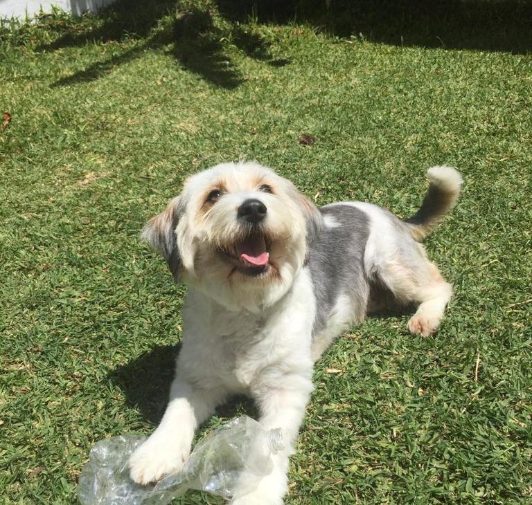 Relato: el perfecto compañero de juegos